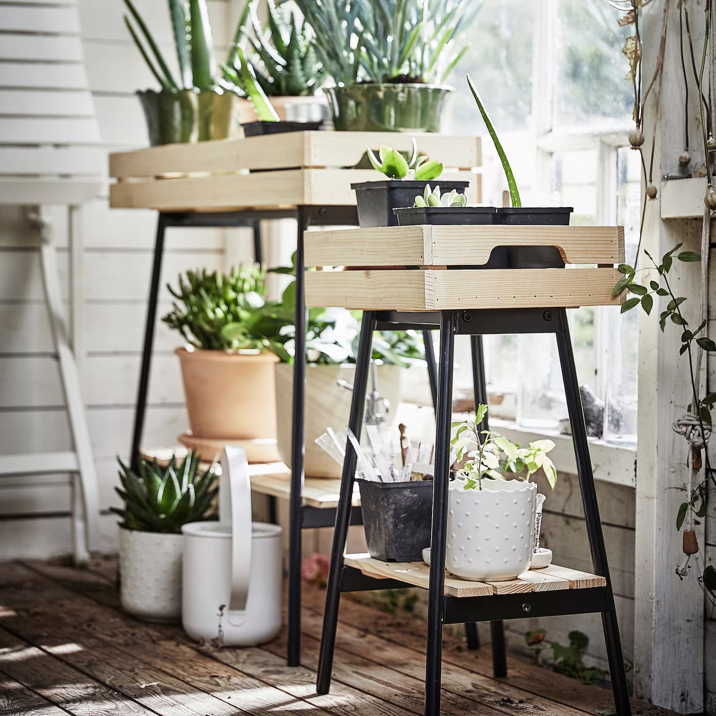 saatgut shop de Bio-Saatgut Set 'Winterpower'