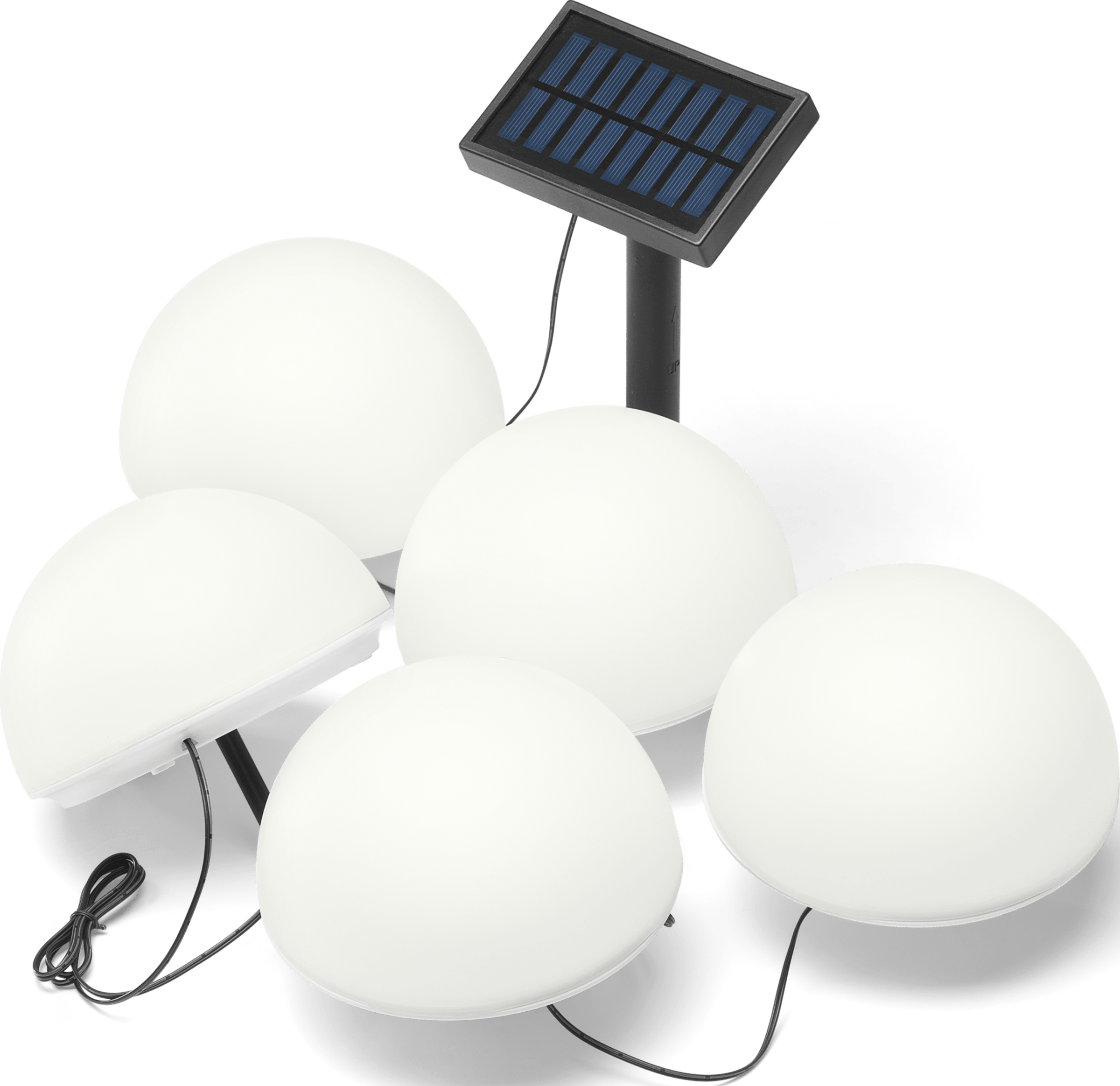 Solar-Bodenlichterkette: Rossmann verkauft einen echten Hingucker für den Garten